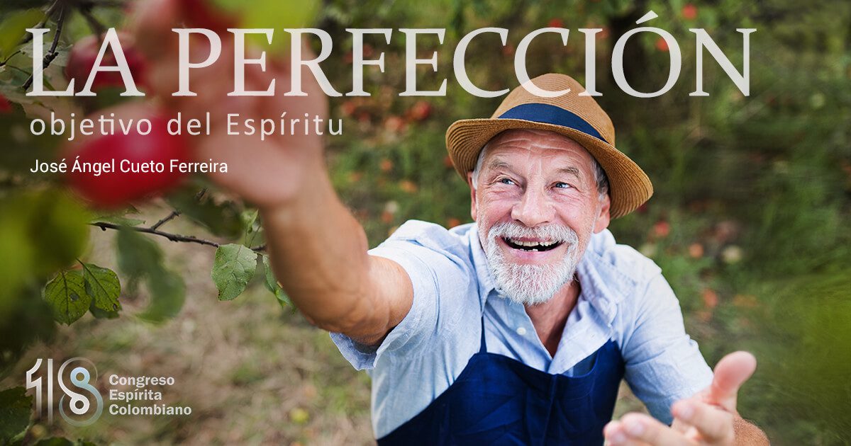 La perfección: objetivo del Espíritu